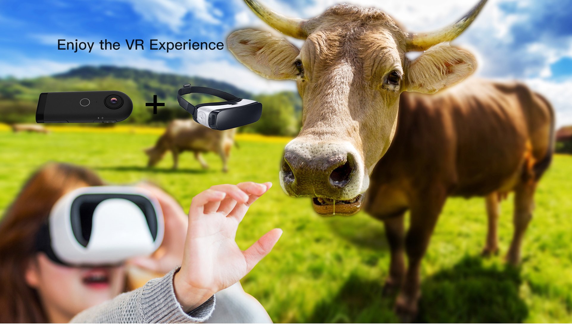 TB404 360 VR Experience