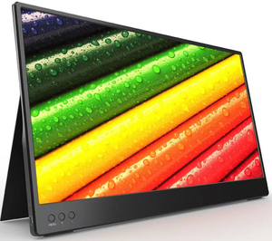 TC14W Portable display
