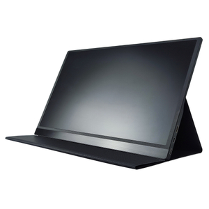 17.3 Inch Portable Monitor